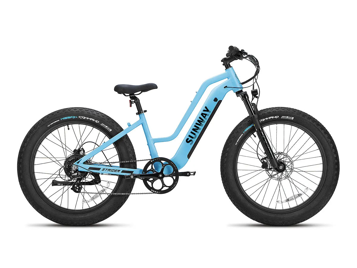 Step-Thru Fat Tire Electric Bike | Leoguar Electric Bike Sunway Electric Bikes Step-Thru Fat Tire Electric Bike | Leoguar Electric Bike Sunway Electric Bikes